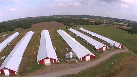 Poultry farm for sale in alabama. Things To Know About Poultry farm for sale in alabama. 